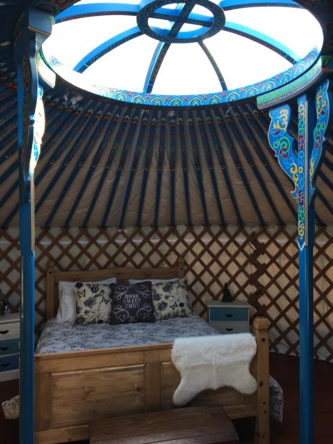 French Fields Luxury Glamping Original Mongolian Yurt Hotel Le-Vieux-Cerier Eksteriør billede