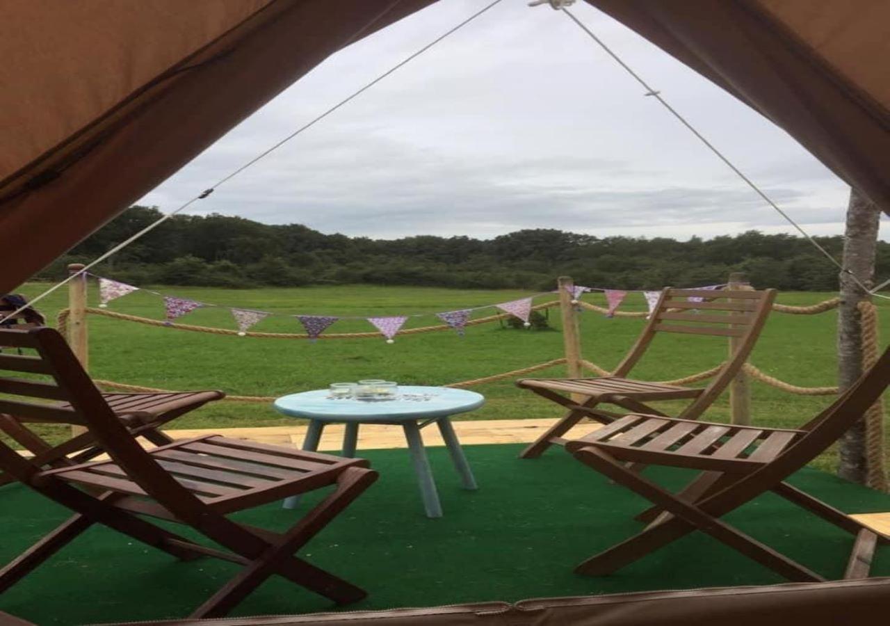 French Fields Luxury Glamping Original Mongolian Yurt Hotel Le-Vieux-Cerier Eksteriør billede